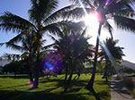 IMGP5920.jpg