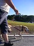 IMGP5924.jpg