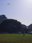 IMGP5973.jpg