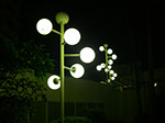 IMGP6126.jpg