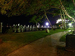IMGP6161.jpg