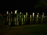 IMGP6162.jpg