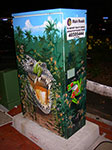 IMGP6176.jpg