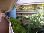 IMGP6276.jpg