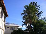 IMGP6289.jpg