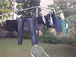 IMGP6332.jpg