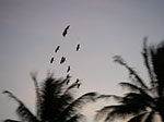IMGP6354.jpg