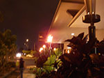 IMGP6361.jpg