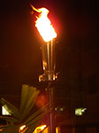 IMGP6371.jpg