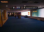 IMGP6393.jpg