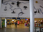 IMGP6398.jpg