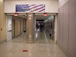 IMGP6432.jpg