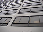 IMGP6459.jpg