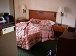 IMGP6470.jpg