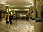 IMGP6479.jpg