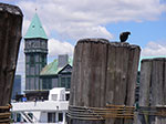 0085-IMGP6567.jpg