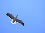 0149-IMGP6617.jpg