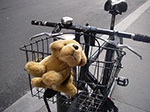 0304-IMGP6754.jpg