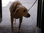 0007-IMGP7069.jpg
