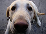0010-IMGP7073.jpg