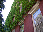 0019-IMGP7082.jpg