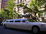 0063-IMGP7110.jpg