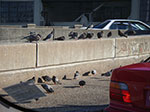 0080-IMGP7124.jpg