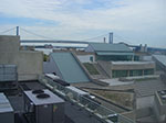 0021-IMGP7172.jpg