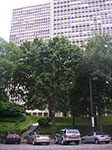 0037-IMGP7186.jpg