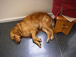 0072-IMGP7213.jpg