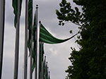 0153-IMGP7279.jpg
