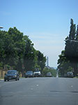 0017-IMGP7377.jpg