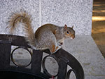 0066-IMGP7422.jpg