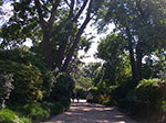 0079-IMGP7433.jpg