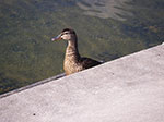 0121-IMGP7462.jpg