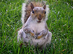 0182-IMGP7504.jpg
