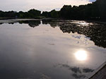 0223-IMGP7529.jpg
