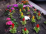 0009-IMGP7597.jpg