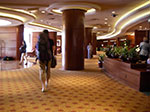 0002-IMGP7644.jpg