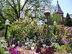 0011-IMGP7653.jpg