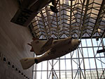 0096-IMGP7705.jpg