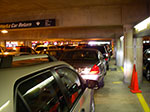 0137-IMGP7736.jpg