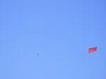 0042-IMGP7902.jpg