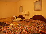 0193-IMGP8071.jpg