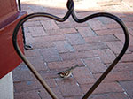 0074-IMGP8123.jpg
