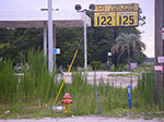 0101-IMGP8150.jpg