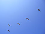 0131-IMGP8328.jpg