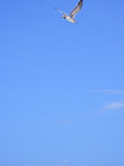 0154-IMGP8347.jpg