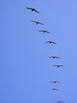 0304-IMGP8532.jpg