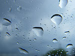 0314-IMGP8544.jpg